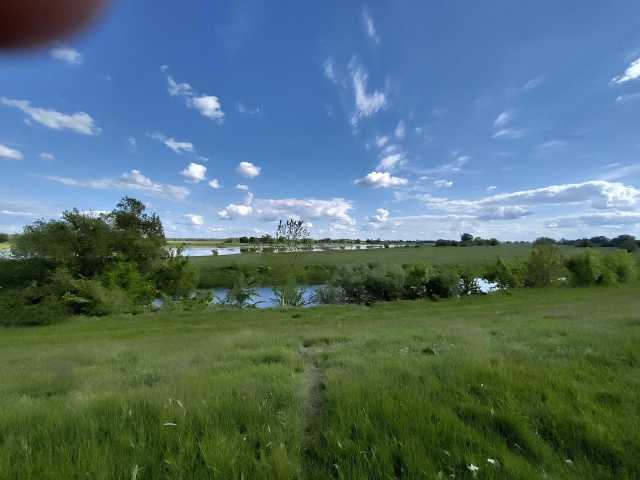 Die Elbe hinter Magdeburg. Elbaue