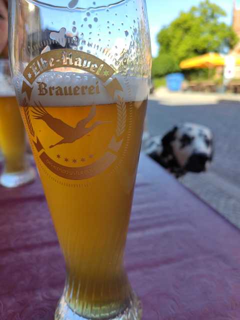 ein Weizen der Elbe-Havel Brauerei 