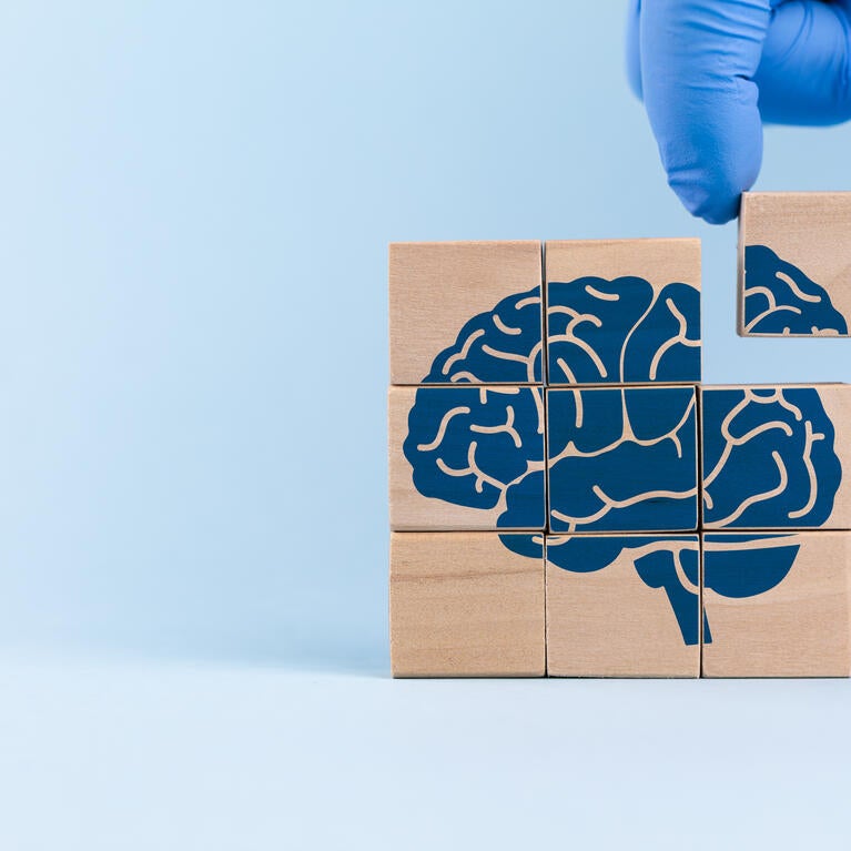 Brain puzzle getting a missing piece