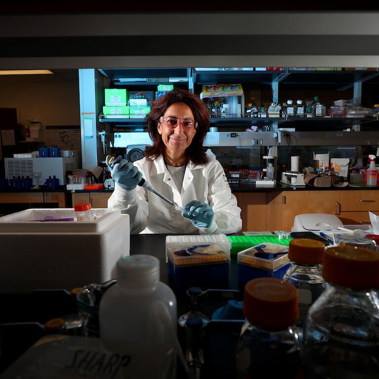Karine Le Roch in the lab